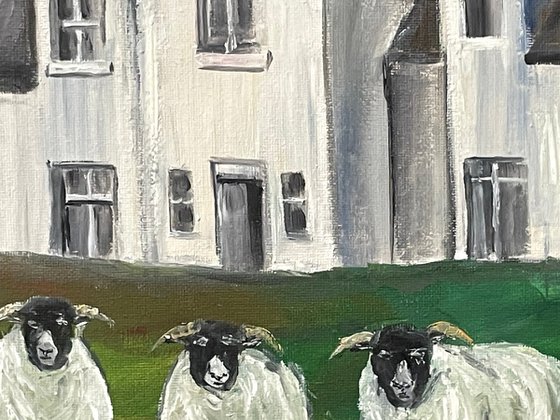 The Sheep And The Cottage