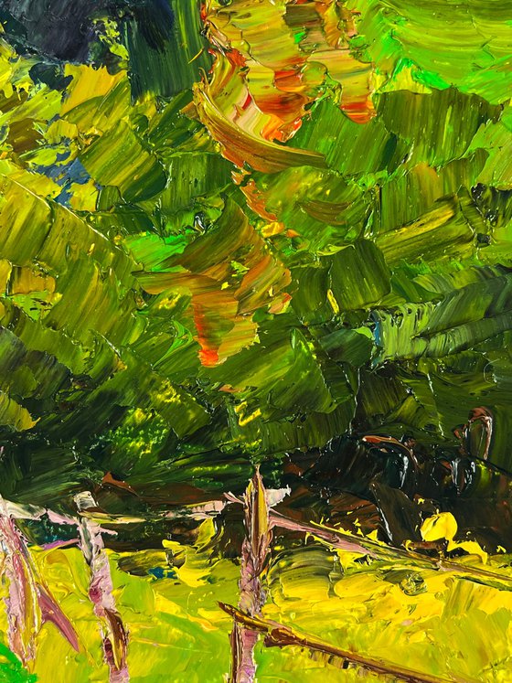 A Road along a Summer Forest