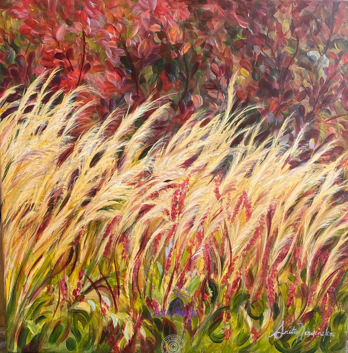 Candour- Autumn Grasses By Anita Nowinska, 16 X 16, Artwork For Sale On Artfinder