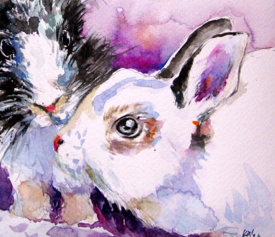 Cute rabbits collection