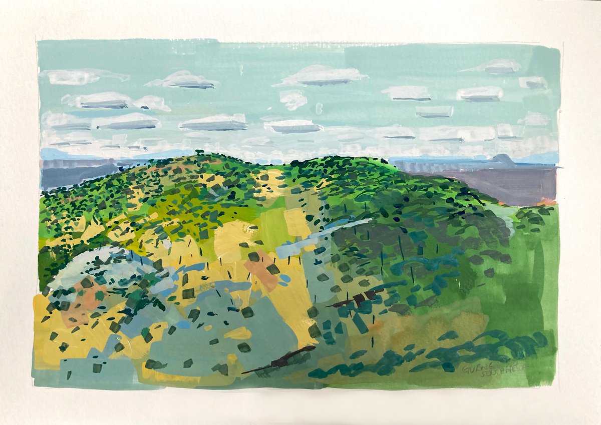 Impressionistic Landscape Painting By Paul Gurney, 12 X 8", Hillside, Kuzuku, Sa, Original Artwork