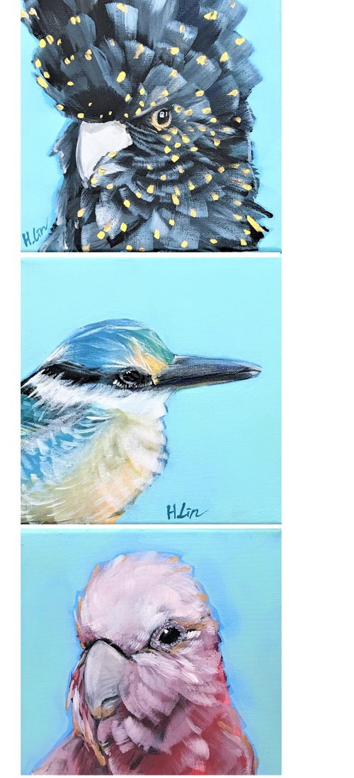 Family by Choice - Black Cockatoo, Galah and Kingfisher by HSIN LIN