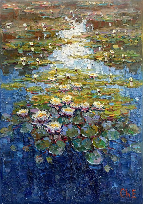 "Water lilies"