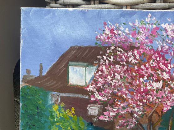Blooming magnolia in Dalen