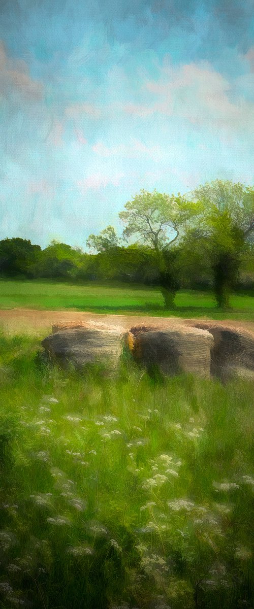 Straw Bales in the Fields by Martin  Fry