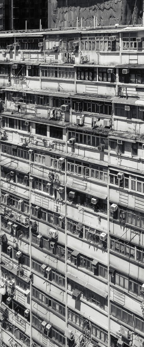 My Neighbours No.8 by Serge Horta