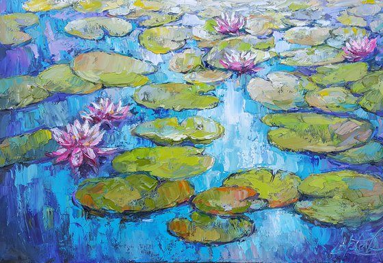 Water lilies pond