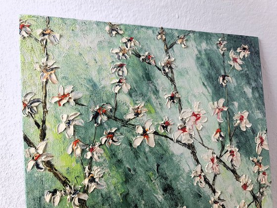 Cherries in bloom 1
