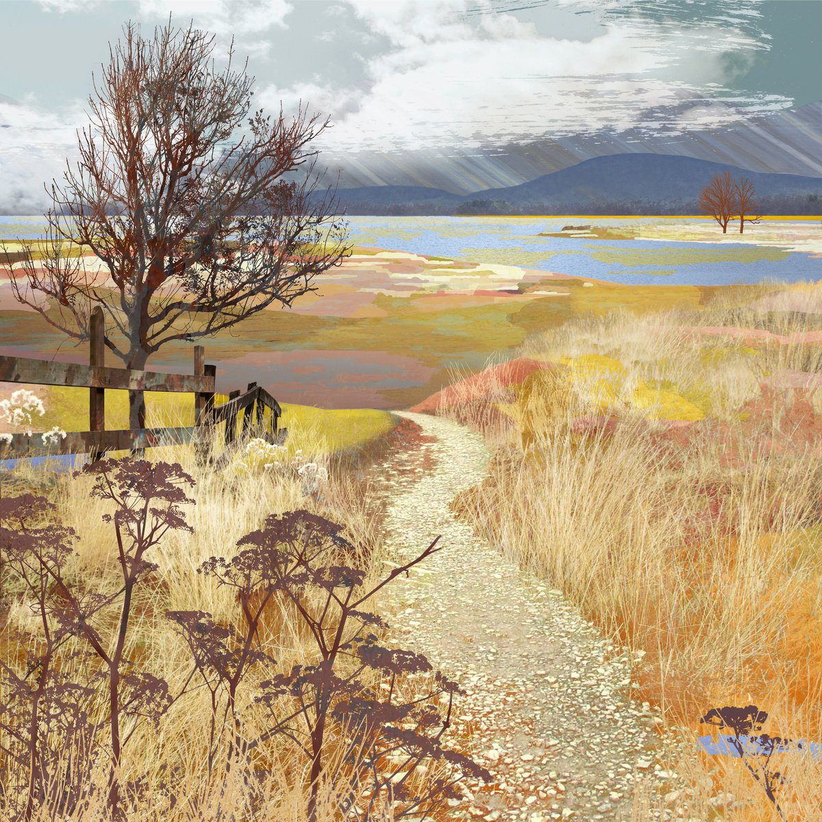 Impressionistic Landscape Photograph By Claire Gill, 20 X 20, Shadow Trees, Original Artwork