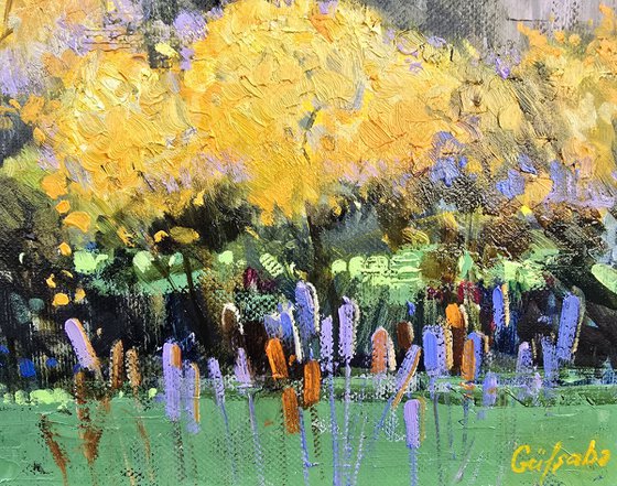 Where Mimosas Bloom