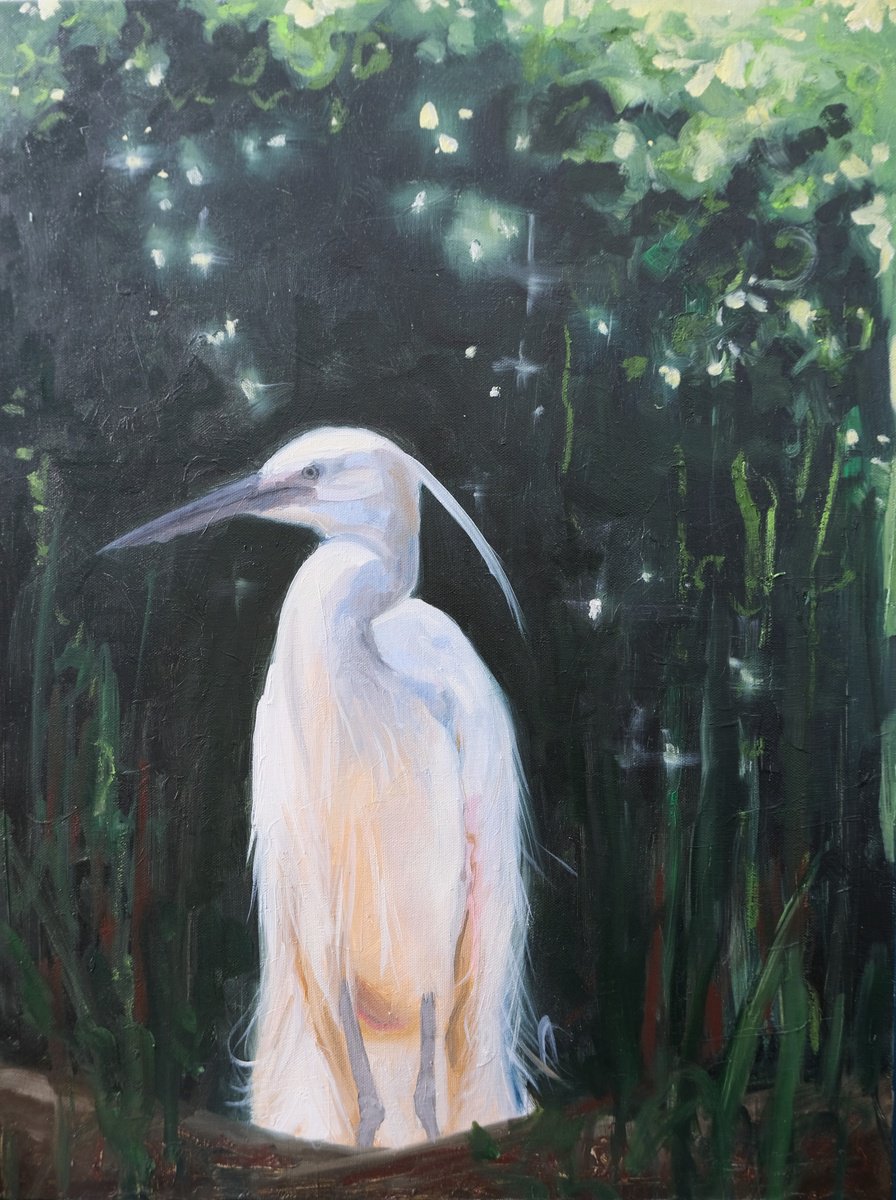 Organic Animal Oil Painting By Kerry Lisa Davies, 18 X 24", The Egret, Original Artwork
