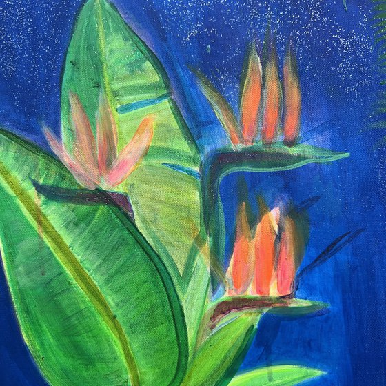‘Nightfall Glowpool’