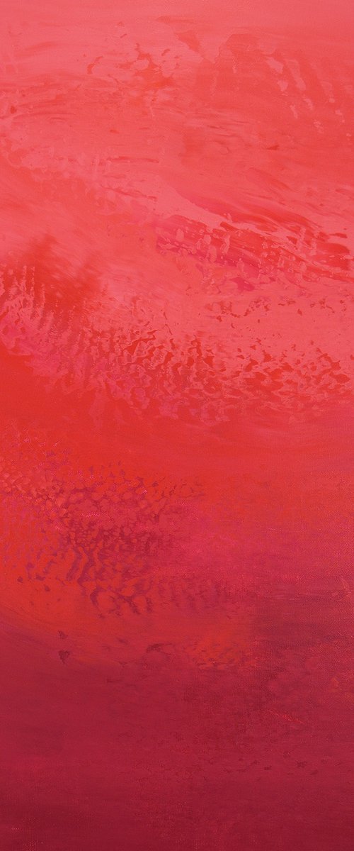 Rose Wine - Color Field by Suzanne Vaughan