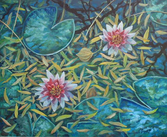 Water lilies under the willow