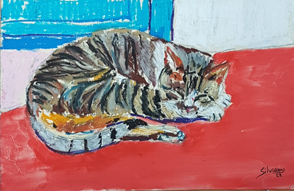 Cat nap by Silvia Flores Vitiello