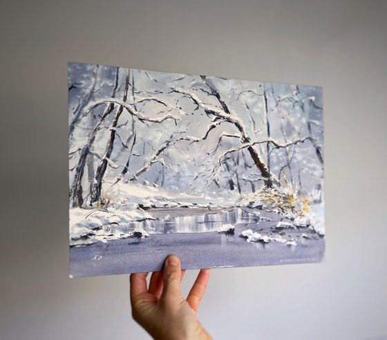 Winter’s Gentle Lace