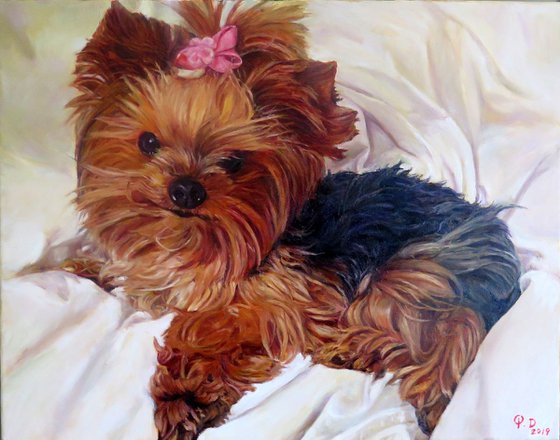 Commission Portrait of A Little Dog