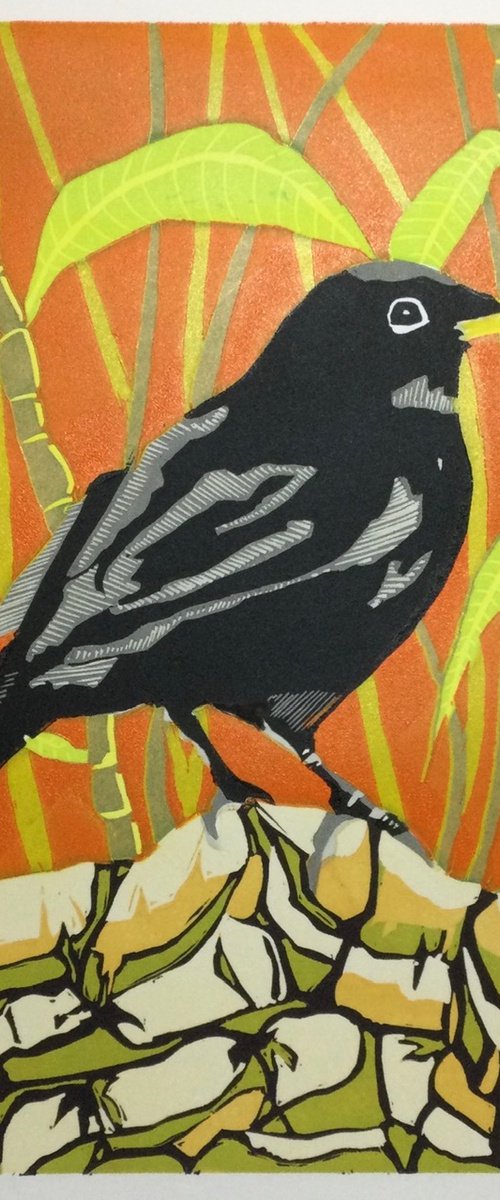 Blackbird by Andrew Tromans