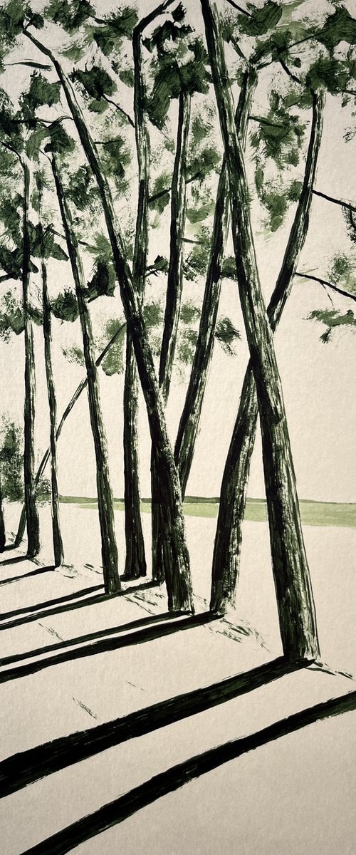 Avenue du Cap Coz by Cadiou Frederic