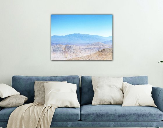 Sonora Desert