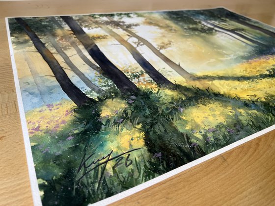 Misty Morning Forest