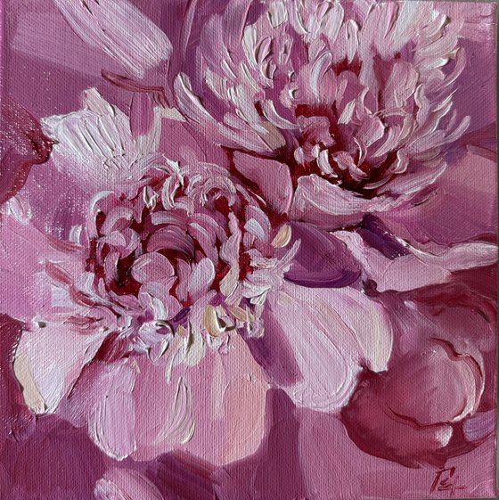 Pink peonies