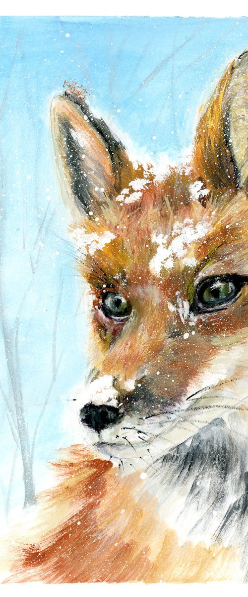 Fox In Snow by Olga Tchefranov (Shefranov)