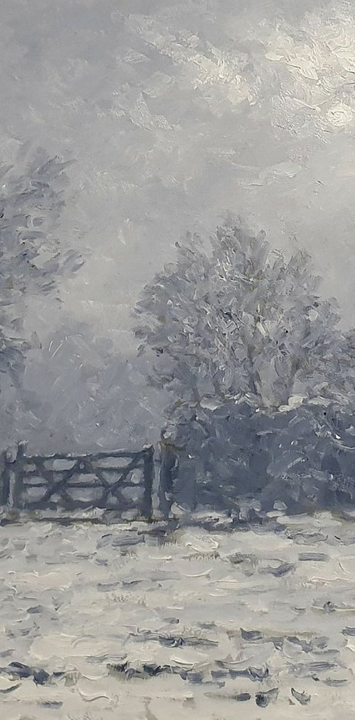 misty snow scene by Colin Ross Jack