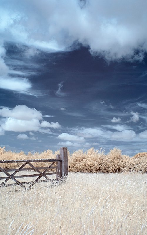 Pointless Gate, Partridge Green by Ed Watts