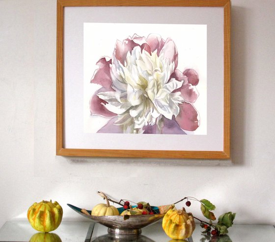 pink and white peony watercolor floral