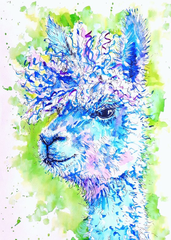 "Funky Alpaca"