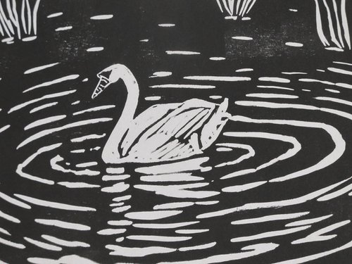 Swan Lake by Rory O’Neill