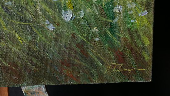 Floral Fields