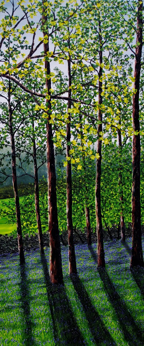 Blubell Wood by Hazel Thomson