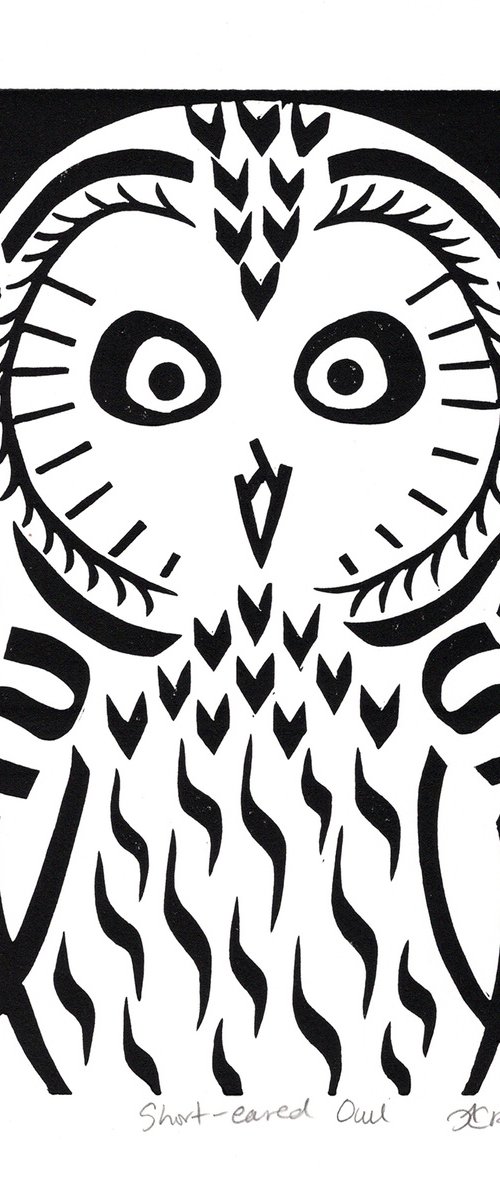 Short-eared Owl b/w (edition of 30) by Catherine Cronin