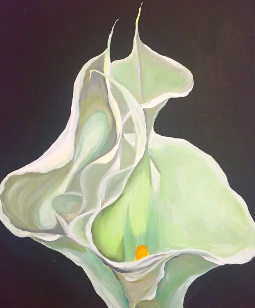 Calla lily by Angelflower (Sun Mei)