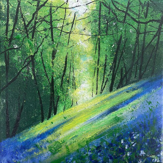 Light Across Bluebell Woods