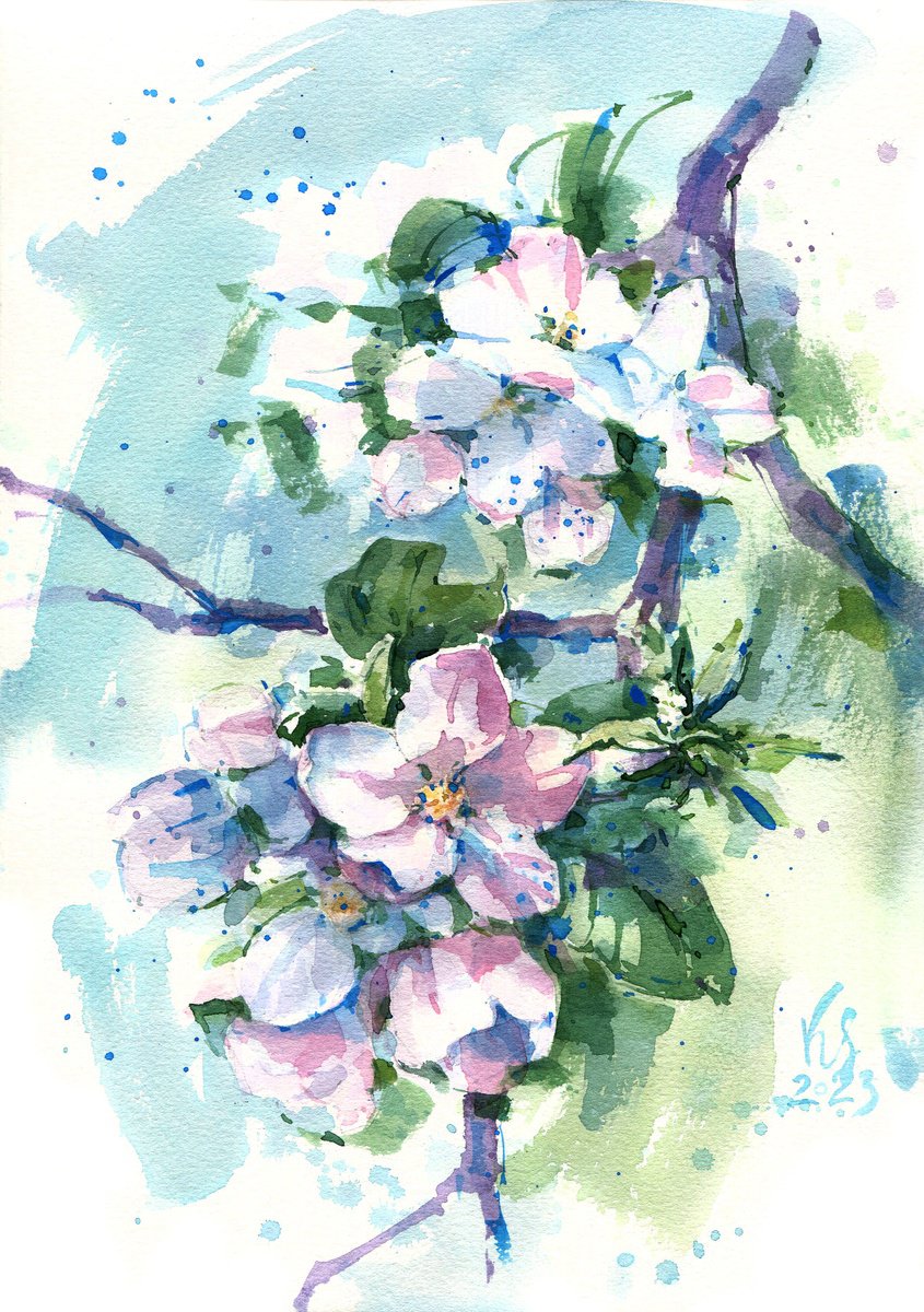Original watercolor painting Apple tree. Branch of a blossoming tree in the spring by Ksenia Selianko