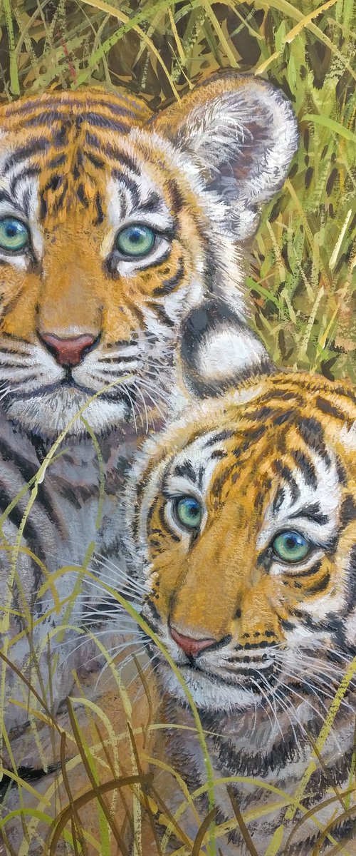 Tiger cubs by Gabriel Hermida