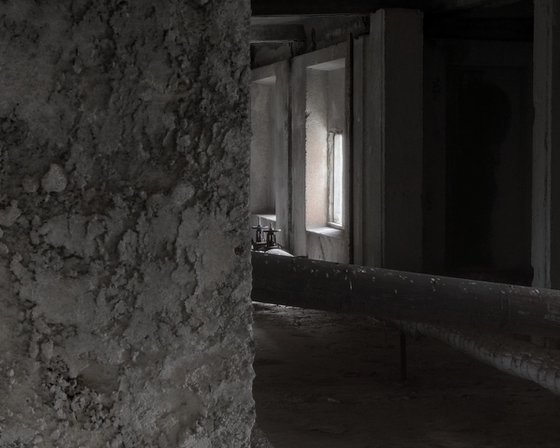 #48. Pripyat. Dog mummy