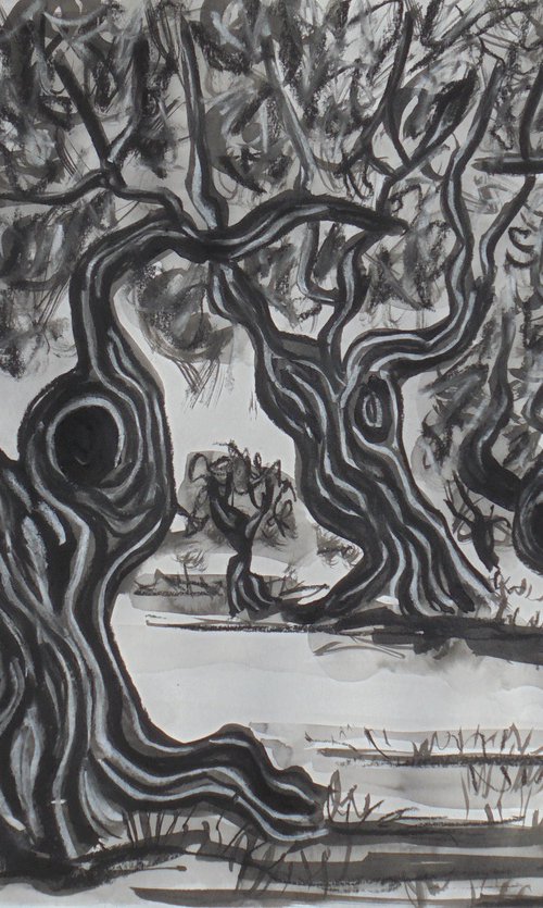 Olive Trees by Kirsty Wain