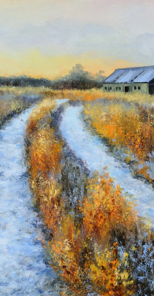 Frosty country road in winter by Lucia Verdejo