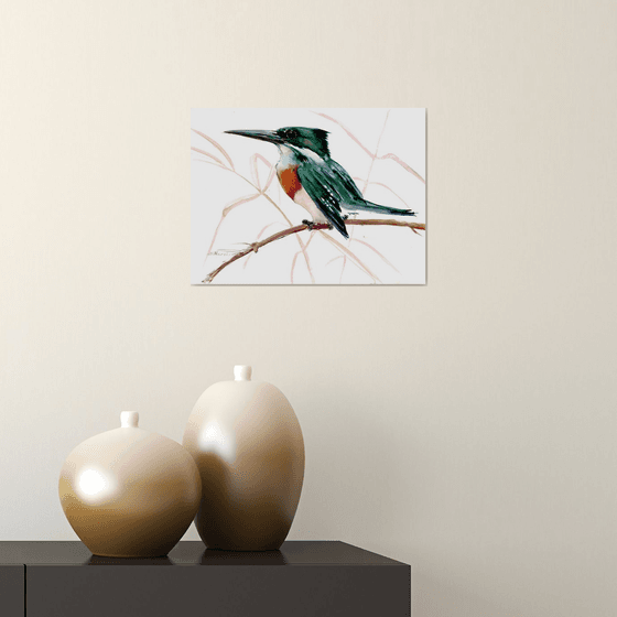 Green Kingfisher