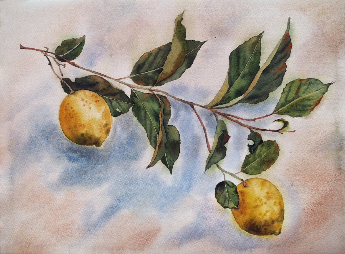 Impressionistic Watercolour , Lemons By Delnara El, 15 X 11, Artwork For Sale On Artfinder