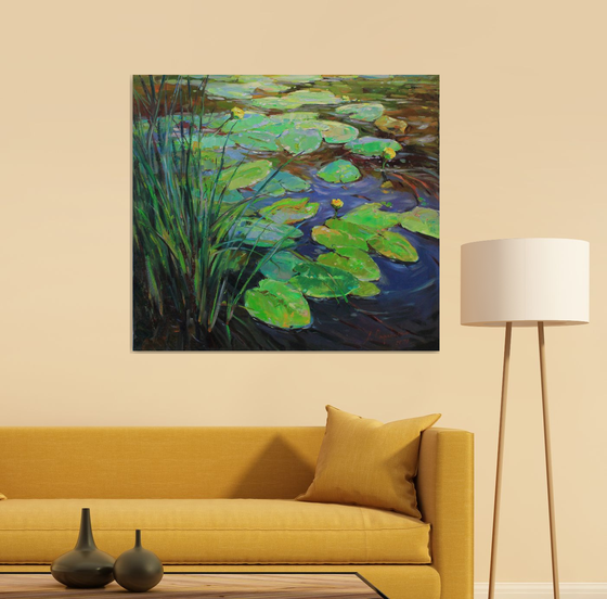 Water lilies pond
