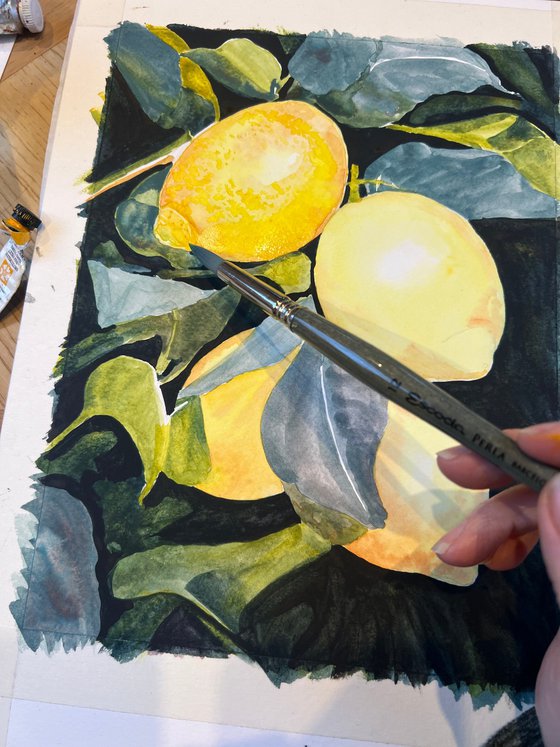 Study of Lemons