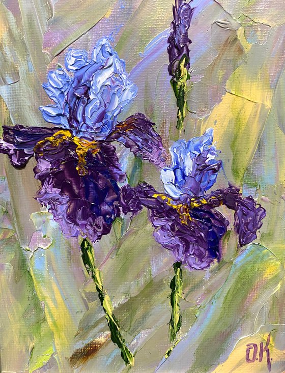 Irises