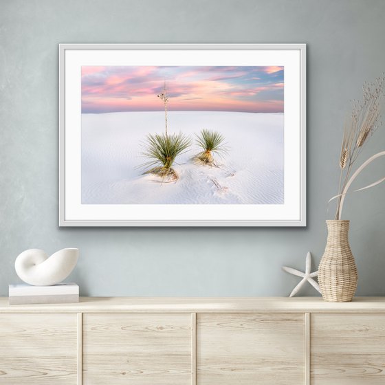 Yucca, White Sands - FRAMED - Limited Edition