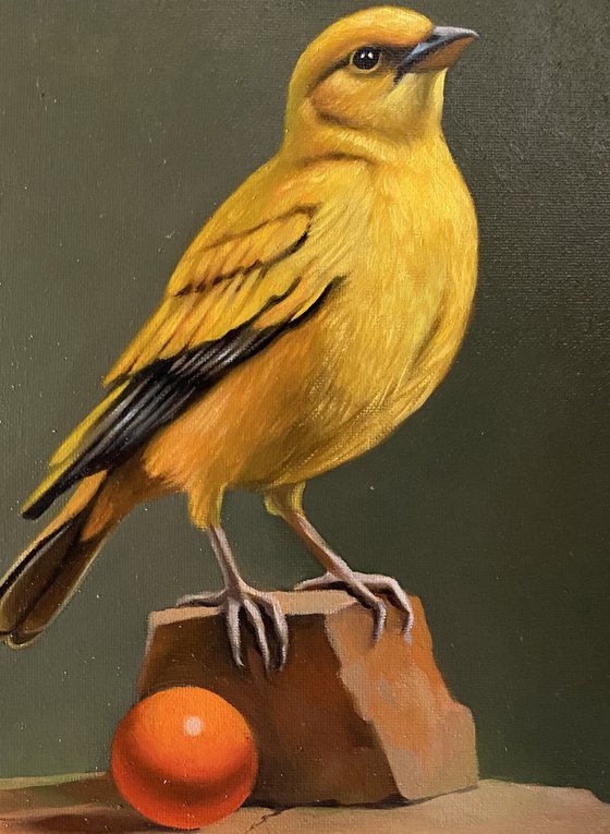 The Golden Gaze
