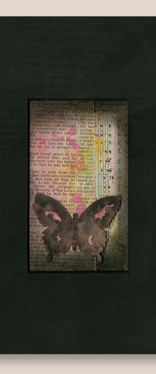 Butterfly Collage 8 by Kathy Morton Stanion